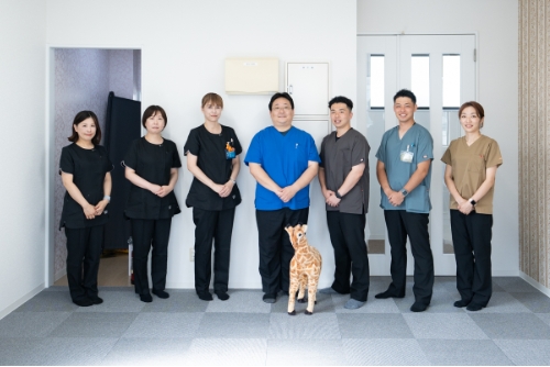 つばめ訪問看護ステーション